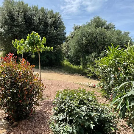 Patios Di Pruno *