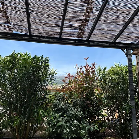 Patios Di Pruno