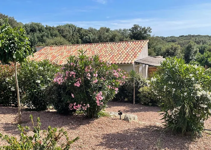 Patios Di Pruno בית הארחה פיגארי