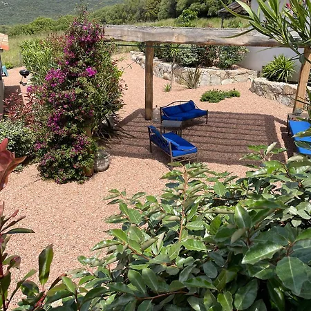 Patios Di Pruno Capitello Guest house Figari (Corsica)
